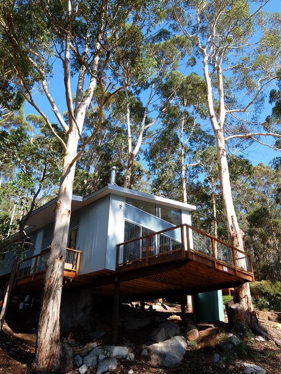 Villa The Tree House à Denmark Extérieur photo