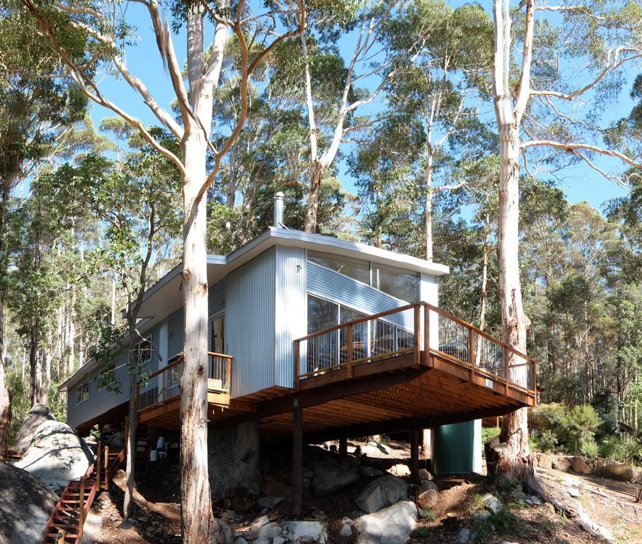 Villa The Tree House à Denmark Extérieur photo